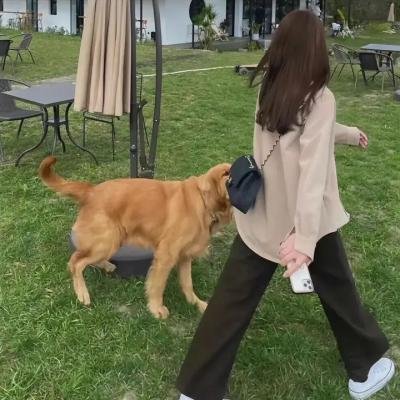 罗宾汉复仇记