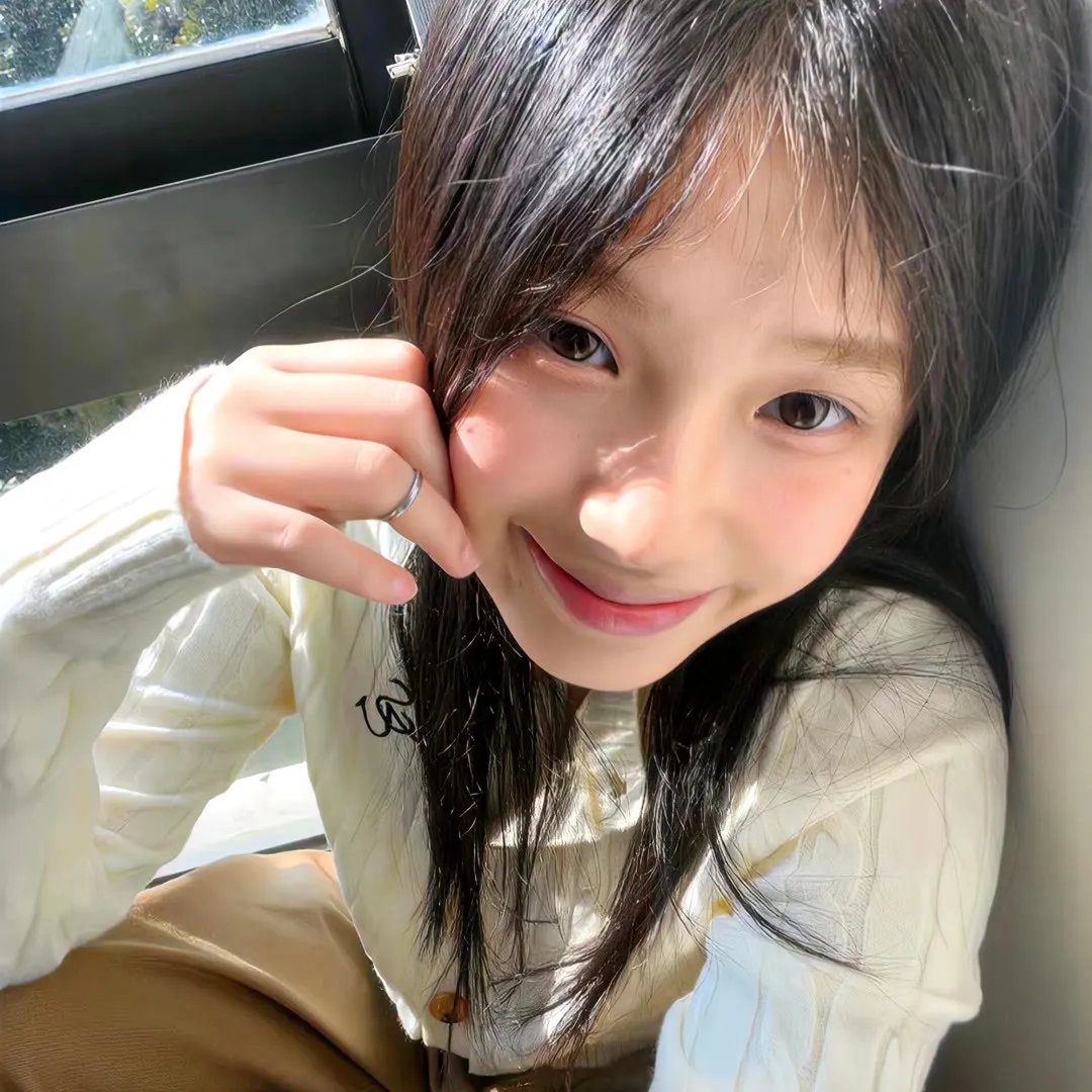 鲨人树儿